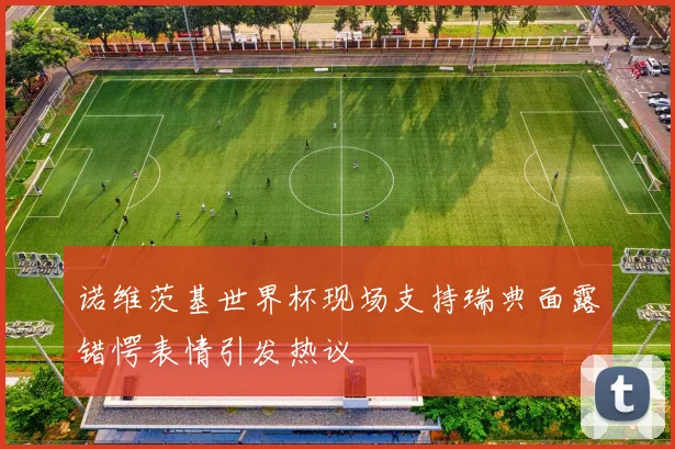 诺维茨基世界杯现场支持瑞典面露错愕表情引发热议